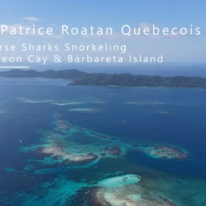 Pigeon Cay Tour Roatan