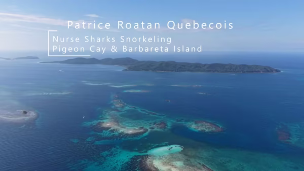 Pigeon Cay Tour Roatan