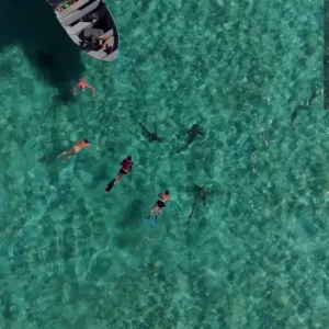 Roatan Snorkeling Tour
