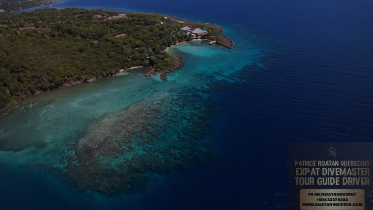 Snorkeling Roatán diving near Mesoamerican Reef with a family at the new Sol by Meliá resort private pier.