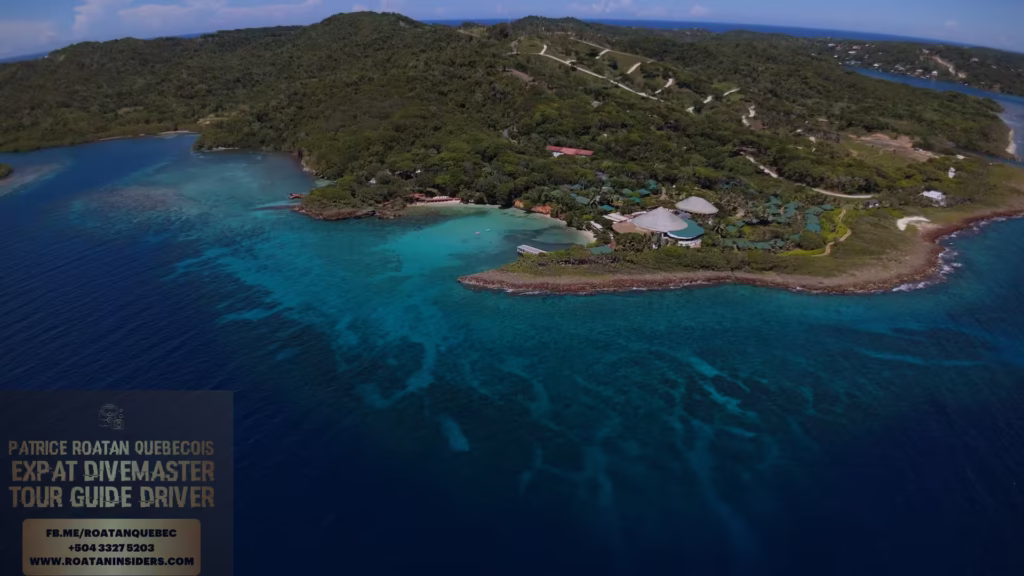 hm resorts melia hotels alliance featured