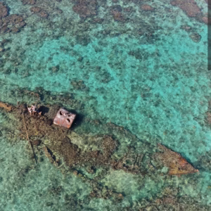 The Snyg Shipwreck Roatan